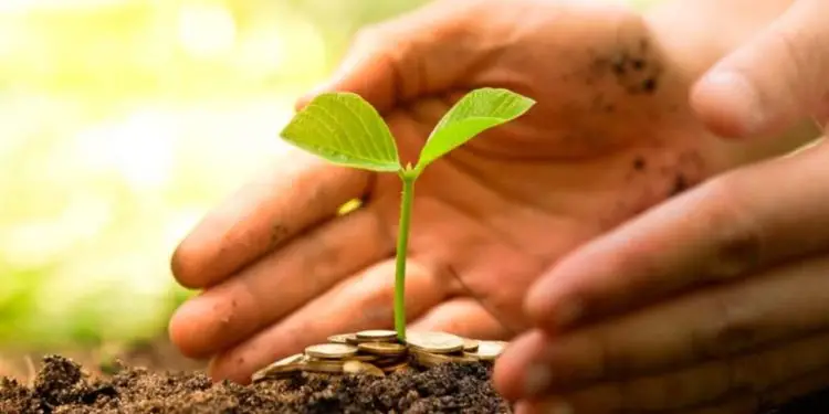 Mapa libera R$ 1 bilhão para seguro rural no Brasil 1 Mapa libera R$ 1 bilhão para seguro rural no Brasil.