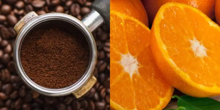 preços do café e laranja
