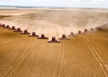 STF concede liminar que suspende cobrança da taxa do agro em Goiás.