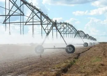 Sistema de Classificação de Terras para irrigação inclui soja e arroz.