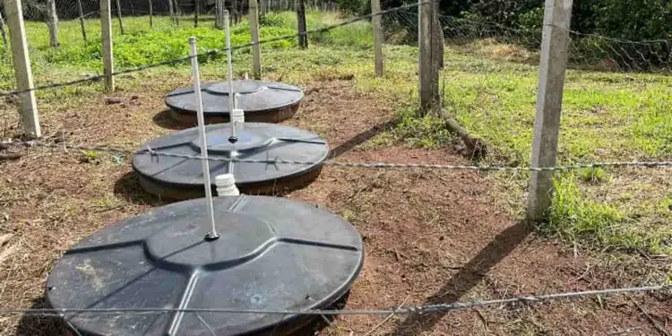 Sistema de saneamento rural gera biofertilizante e evita despejo de esgoto na natureza 1 saneamento básico