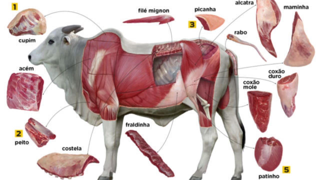Além das carnes nobres, de segunda e terceira, do bovino se aproveita as vísceras. 