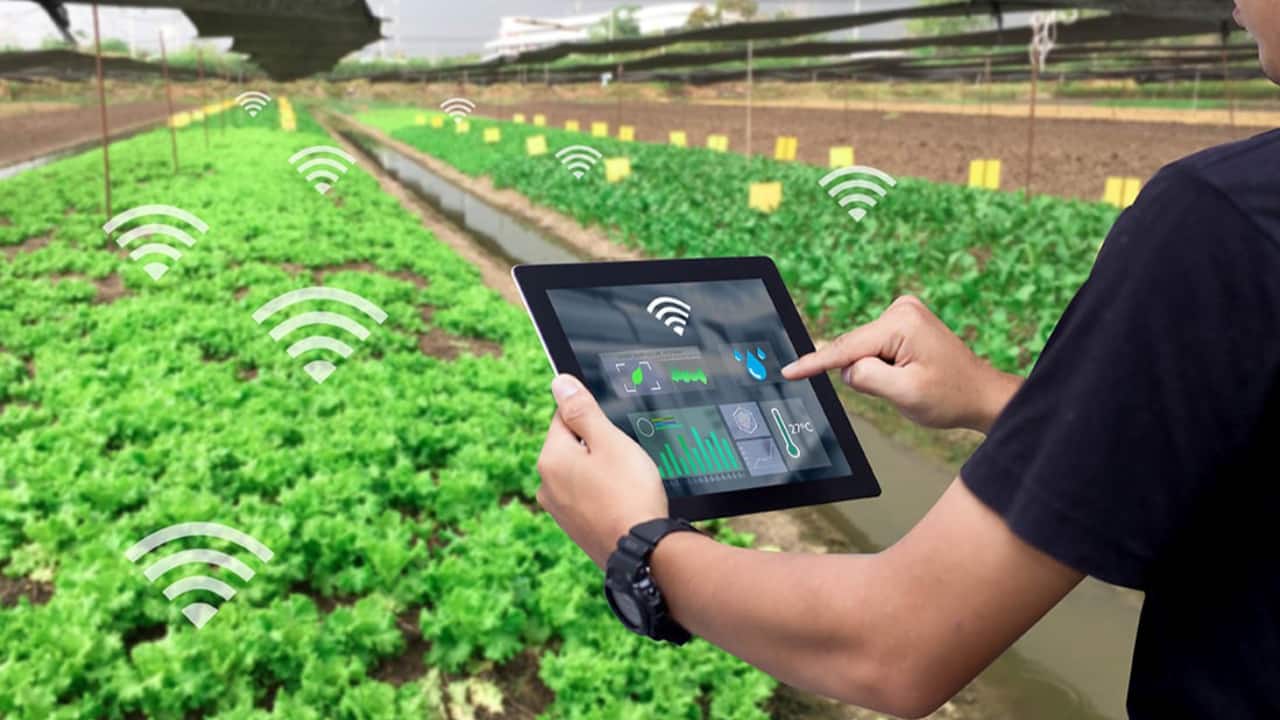 Capacitação gratuita do Senar ensina como se conectar as tendências tecnológicas do agronegócio.