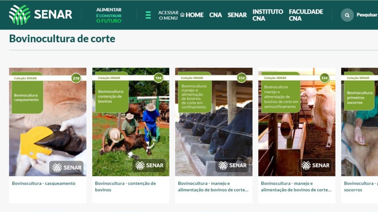 Coleção Senar oferece cartilhas que tratam da bovinocultura de corte.