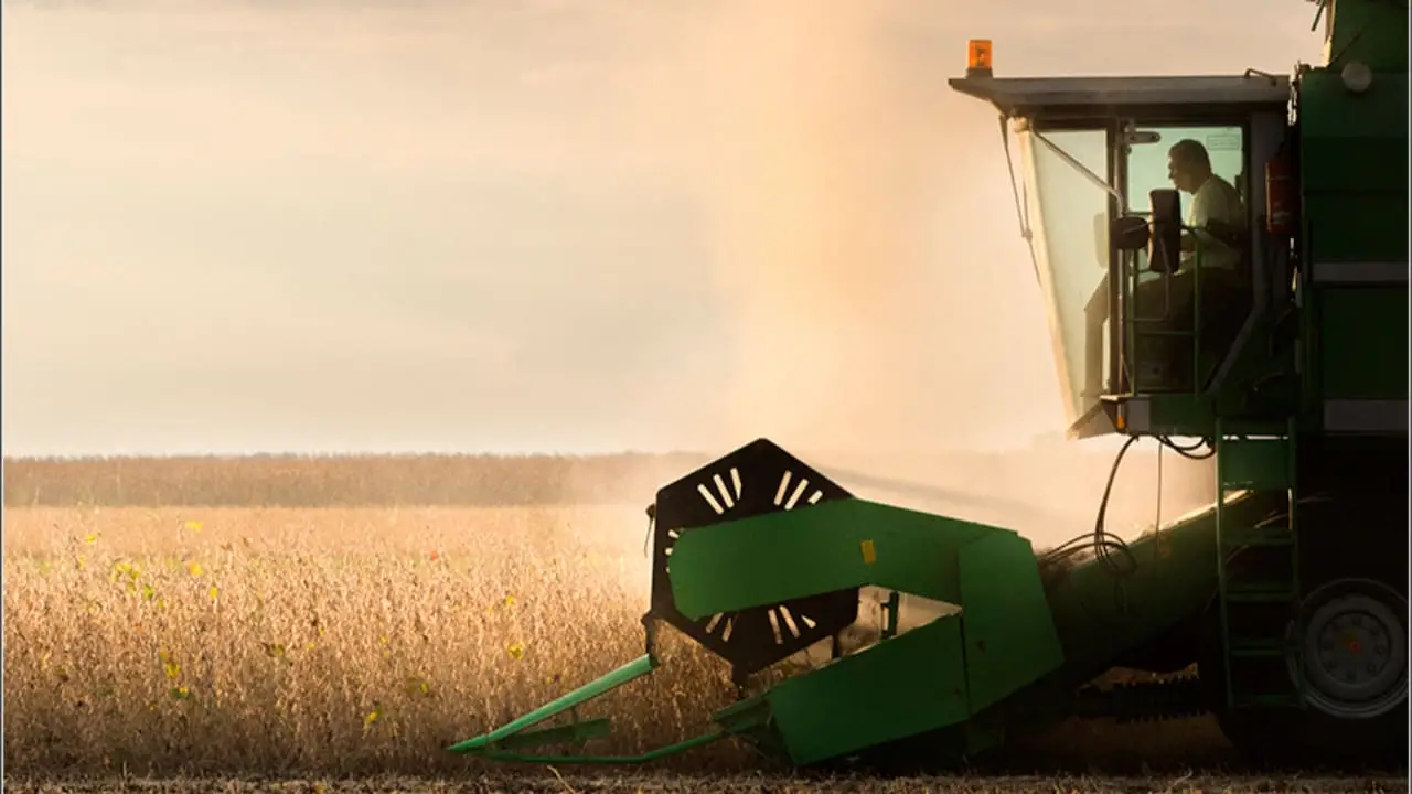 Cultivo de soja foi o destaque da geração de empregos no agro goiano. 