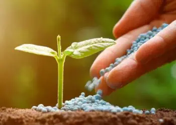 Defensivos agrícolas: Mapa registra 44 produtos para controle de pragas.