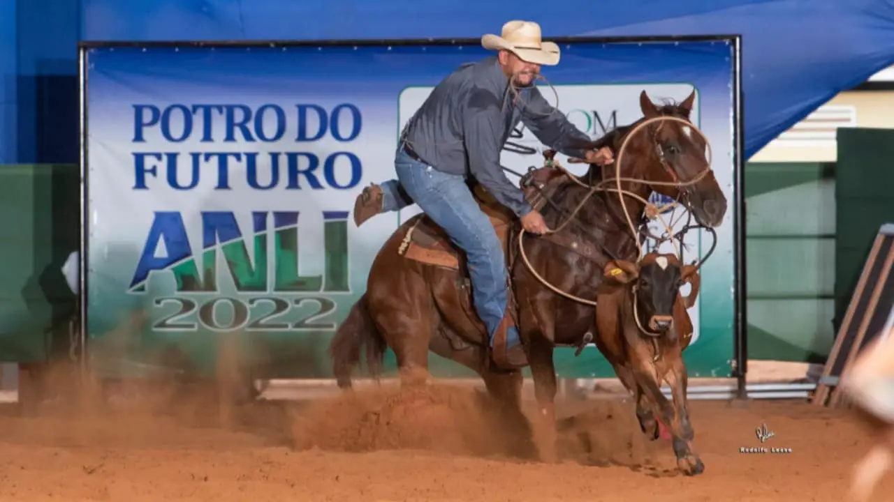 Mais de mil competidores devem participar das 22 modalidades de provas equestres. 
