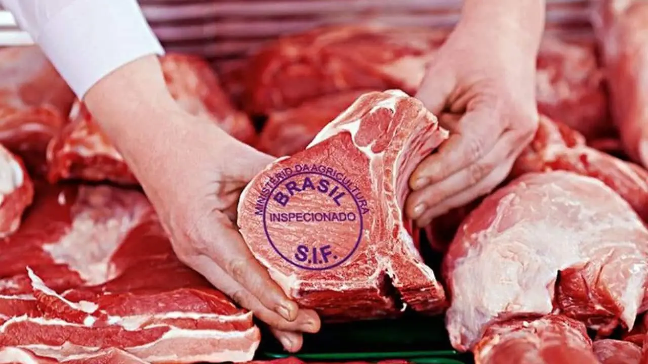 Brasil retomará exportação de carne bovina à Rússia após liberação de embargo 2 País europeu liberou as importações embargadas desde março com caso de mal da vaca louca atípico.