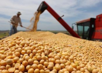 Produção agropecuária brasileira deve chegar a R$ 1,2 trilhão em 2023.