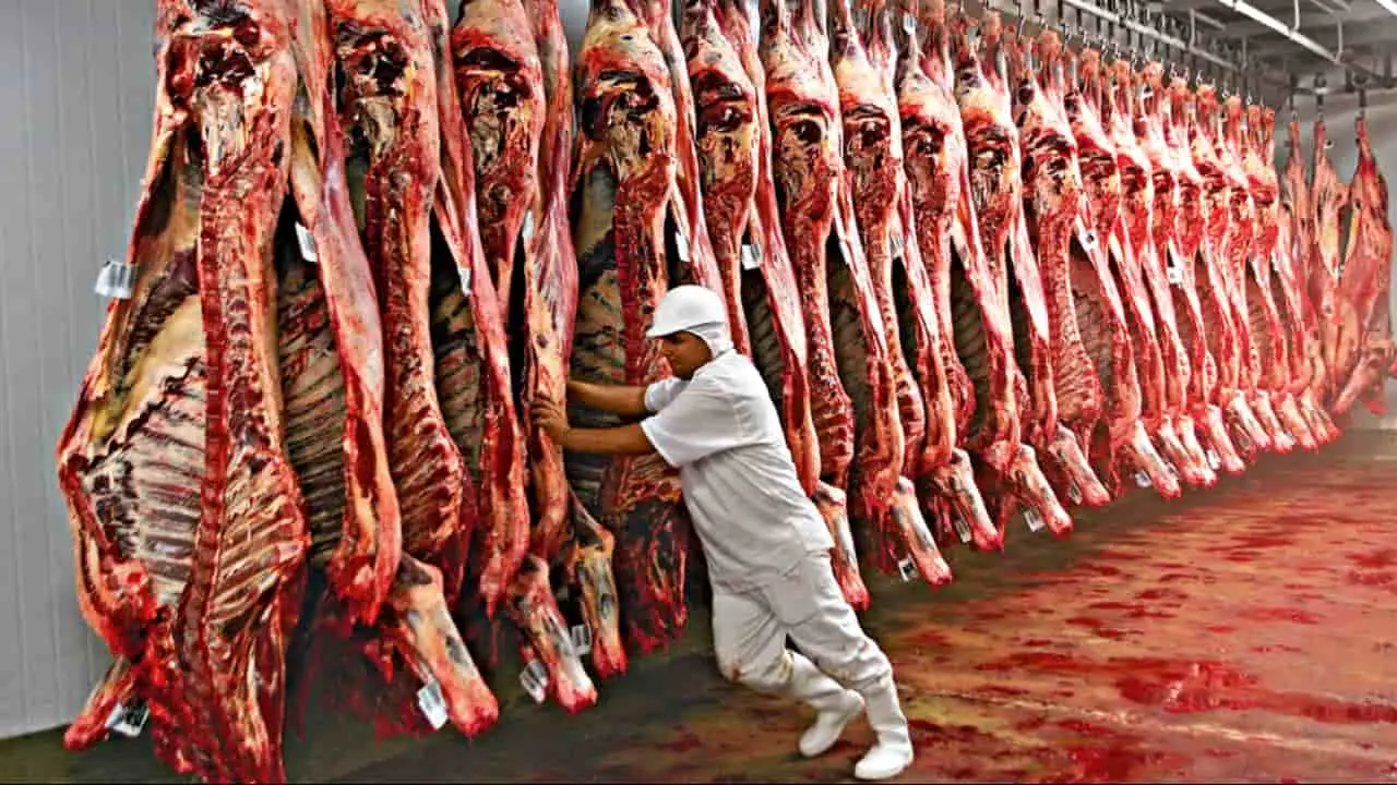 Queda no consumo é reflexo dos preços mais caros das proteínas nos últimos anos. 