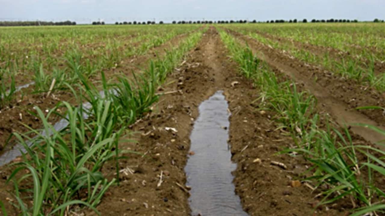 Sistema possibilita o uso racional da água nos processos de irrigação.