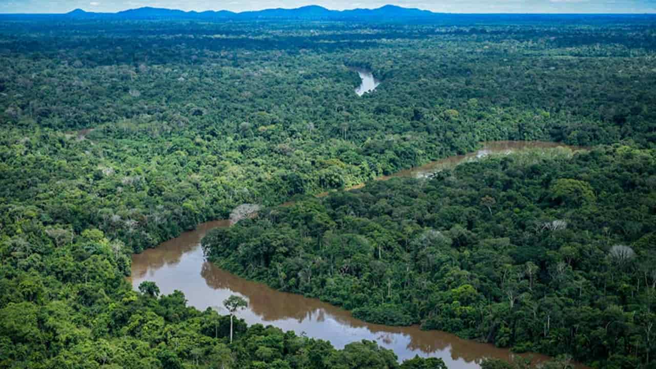 Território da Amazônia Legal ocupa 501 milhões de hectares de área. 