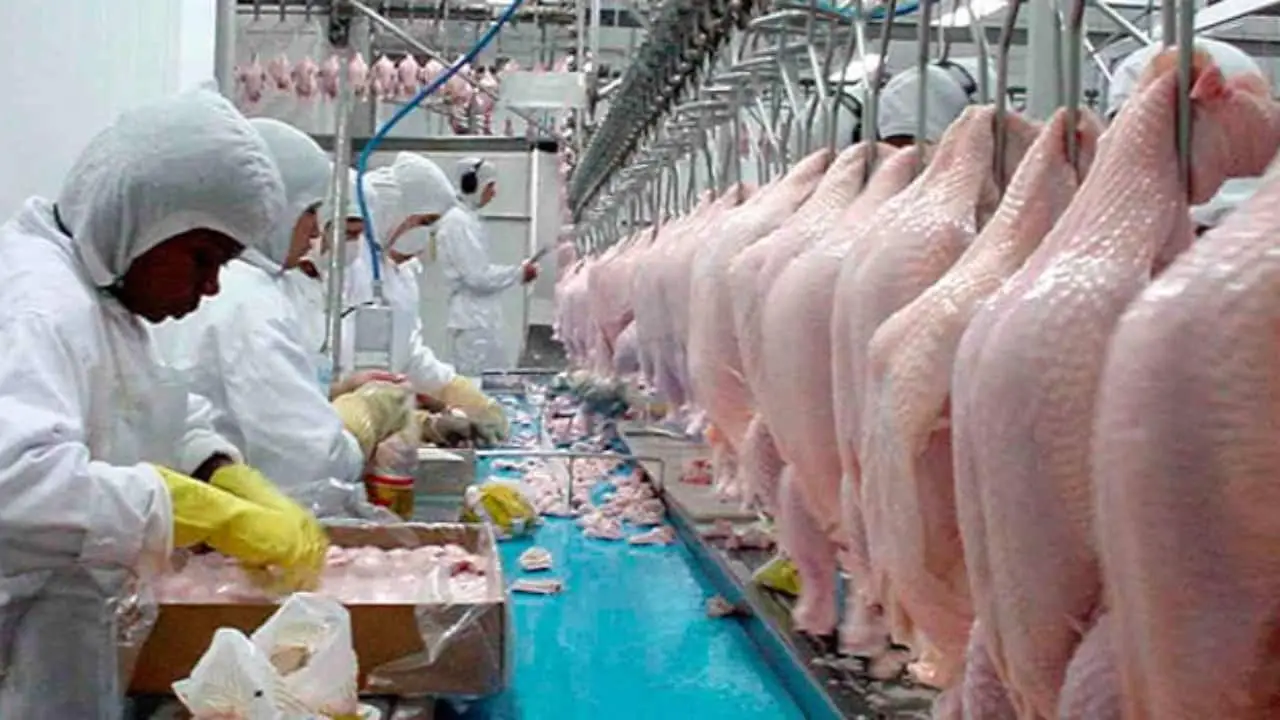 ABPA e Mapa afirma que casos em aves silvestres não afetam mercado internacional. 