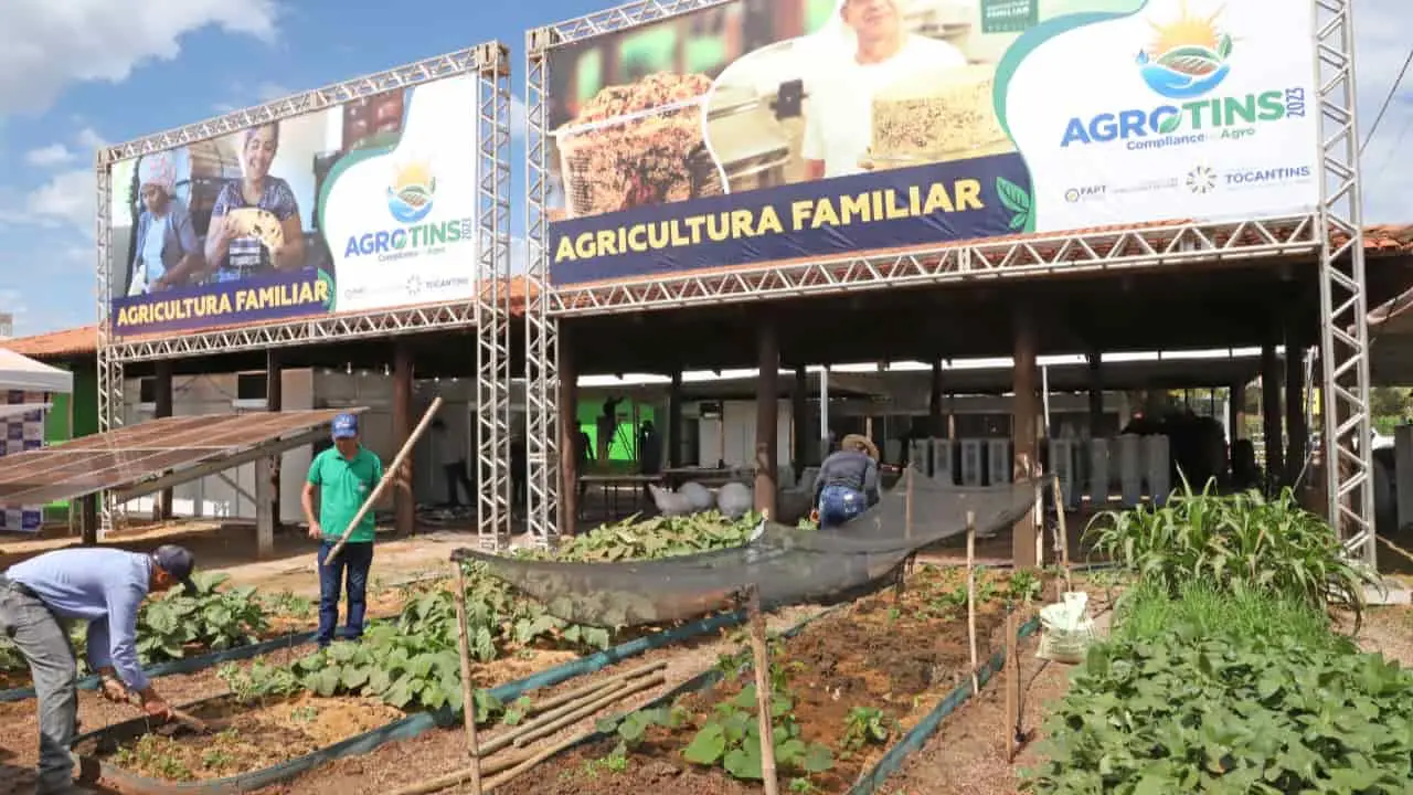Agrotins 2023: feira acontece de 16 a 20 de maio em Palmas-TO 3 Agricultura Familiar terá pavilhão dedicado à assistência técnica para o produtor rural.