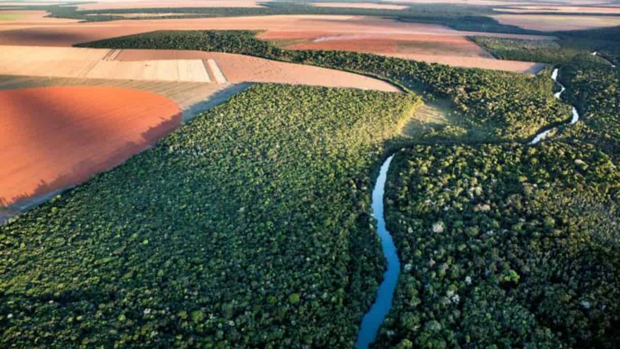 Câmara aprova MP que prorroga adesão ao Cadastro Ambiental Rural 3 MP estende também prazo para adesão aos Programas de Regularização Ambiental (PRA).