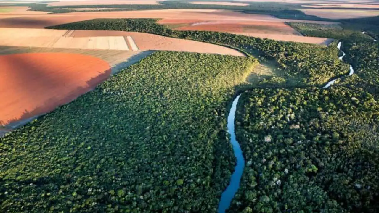 MP estende também prazo para adesão aos Programas de Regularização Ambiental (PRA). 
