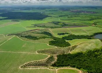 MP que prorroga adesão ao Cadastro Ambiental Rural (CAR).