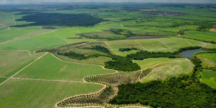 MP que prorroga adesão ao Cadastro Ambiental Rural (CAR).