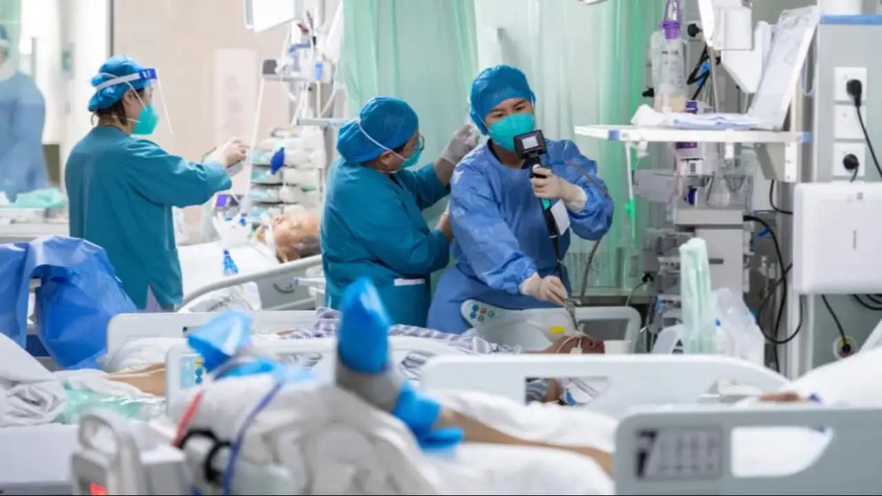 Não há casos confirmados de gripe aviária em humanos no Brasil. 