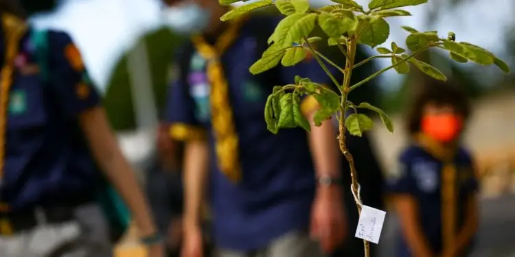 Prêmio Goiás Sustentável: inscrições seguem até 20 de maio; veja como participar 1 Prêmio Goiás Sustentável