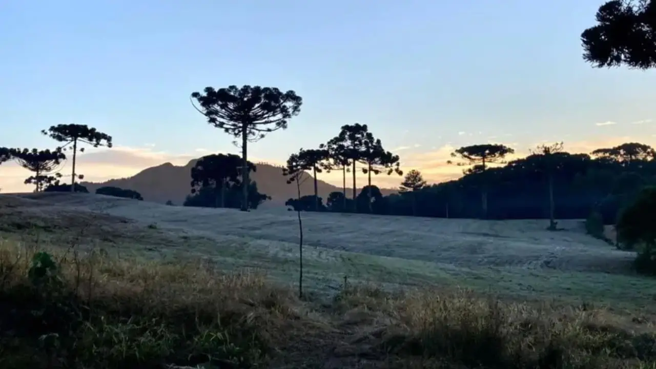 Tempo frio avança no Centro-Sul do Brasil até quarta-feira (17) 2 Ar frio de origem polar provoca quedas de temperatura.