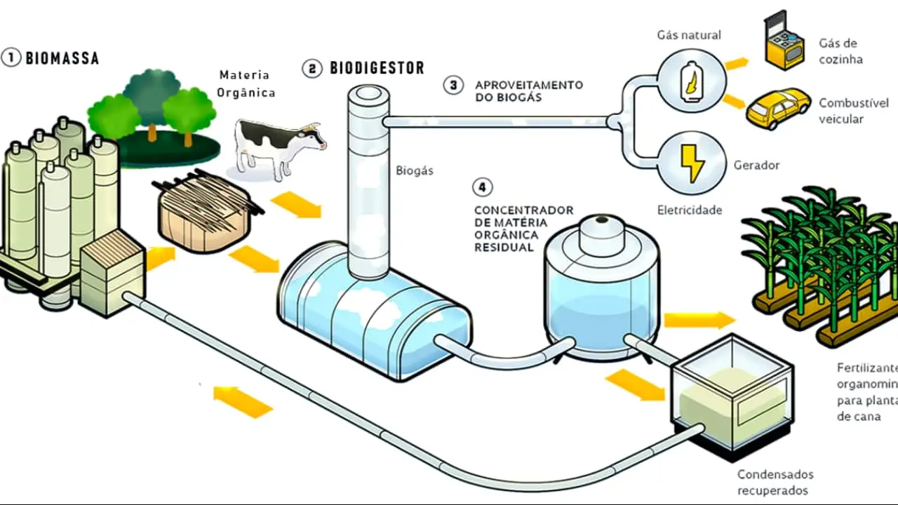 Biogás é tipo de biocombustível produzido a partir da decomposição de materiais orgânicos.