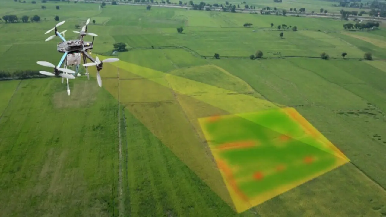 Agrishow 2023: Startup de inteligência artificial identifica plantas daninhas 3 Classificação de ervas daninhas que auxilia na pulverização localizada das lavouras.