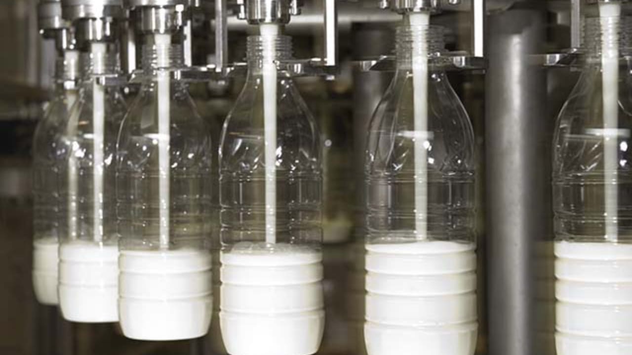 Compra de leite pelas indústrias caiu 1,5% no 1º trimestre de 2023. 
