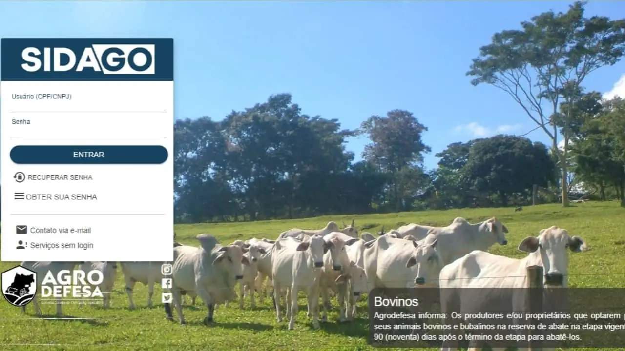 Declaração de vacinação dos animais das propriedades deve ser feita até 16 de junho. 