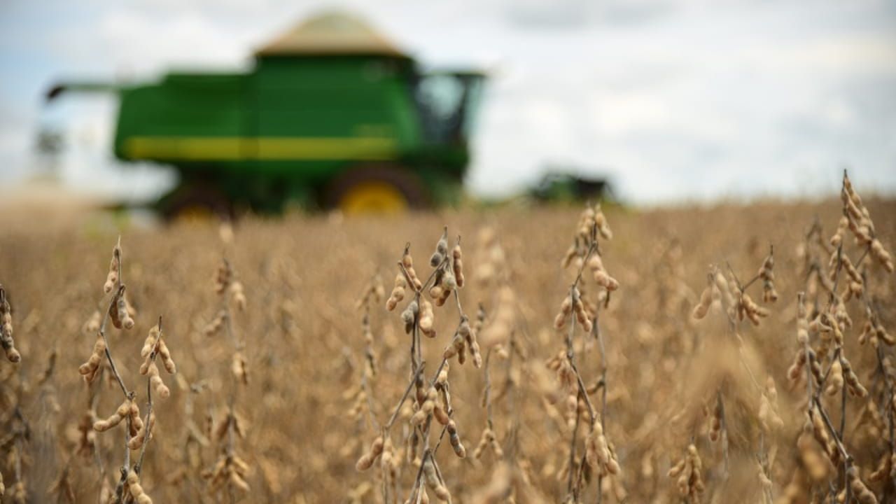 O desempenho agrícola foi puxado pela safra recorde de soja.