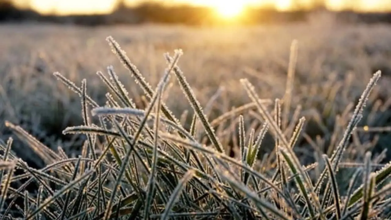 Tempo frio avança no Centro-Sul do Brasil até quarta-feira (17) 3 Estados do Sul podem sofrer com geada e temperatura de 0°C.