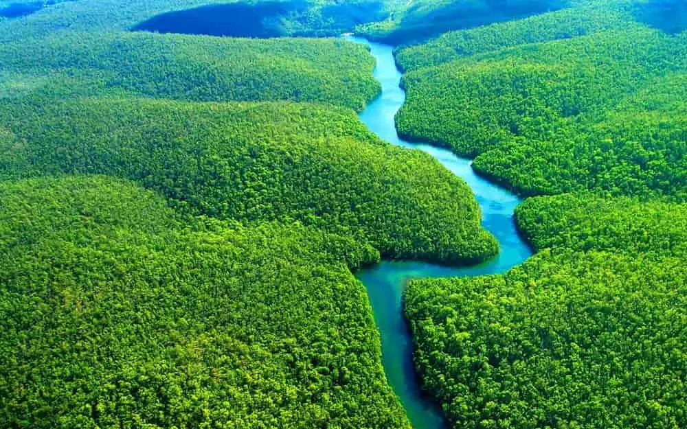 floresta amazônica