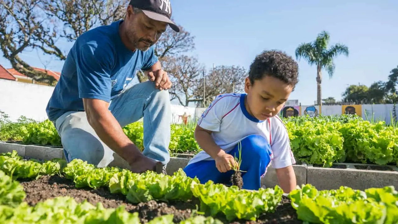 Prêmio Goiás Sustentável: inscrições seguem até 20 de maio; veja como participar 3 projetos