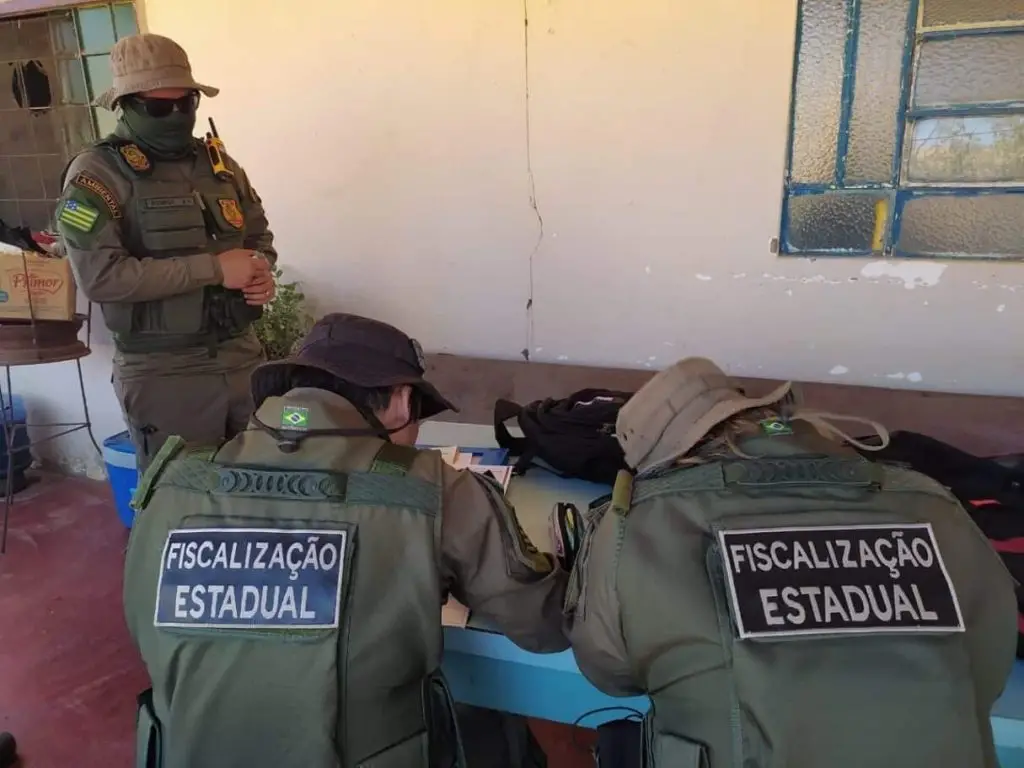 Fiscalizações ambientais da Semad em Goiás