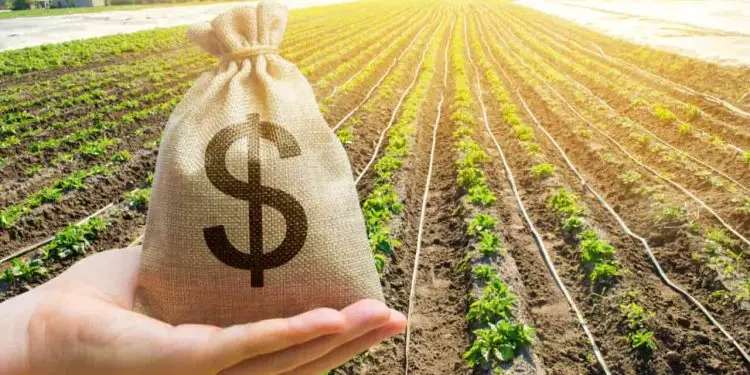 Portaria autoriza os bancos a oferecerem financiamentos com taxas de juros subsidiadas.