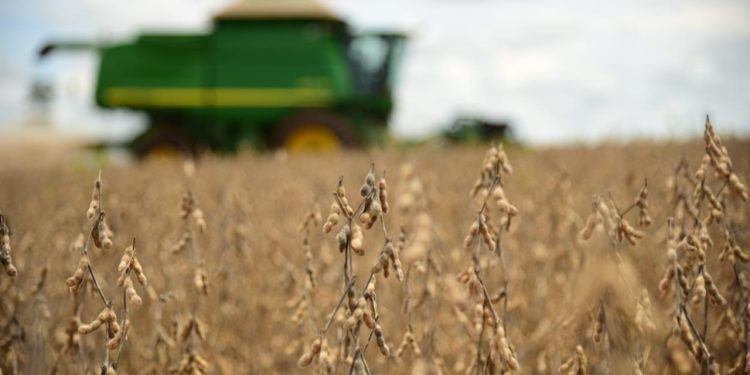 Produção de grãos deve crescer 15,2% na safra 2022/23, um recorde da série.