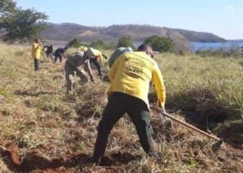 Queima controlada para construção de aceiro.