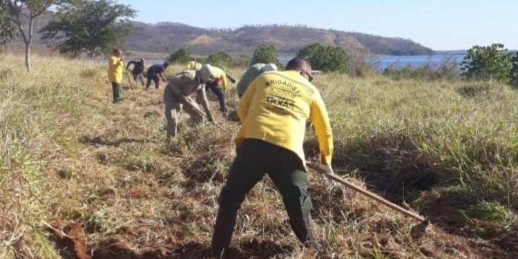 Queima controlada para construção de aceiro.