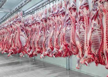Receita de exportações de carne bovina caem 43% em abril.