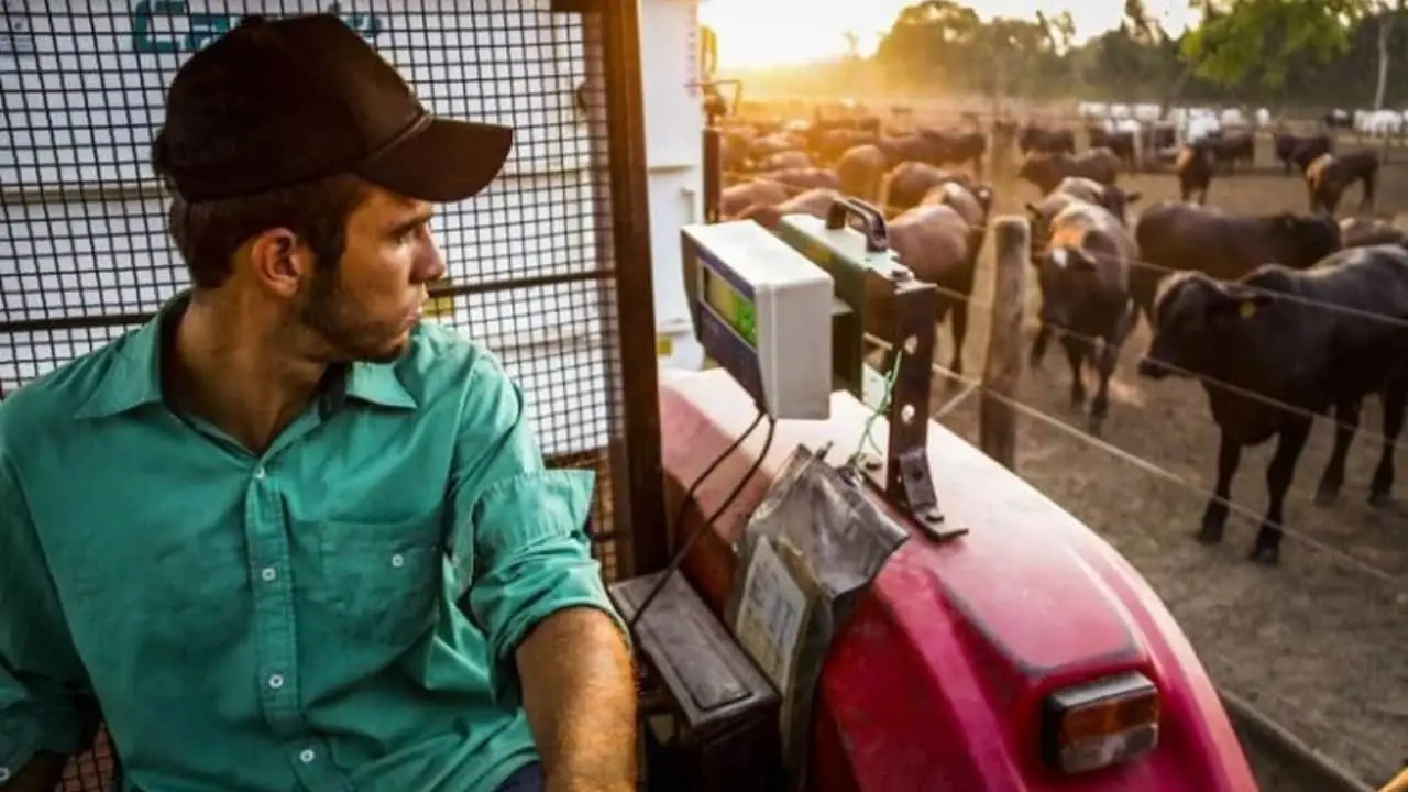 Redução era esperada com o fim da colheita de grãos, frutas e mudanças no ciclo pecuário.