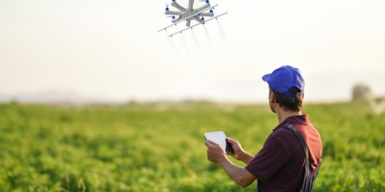Uso de drones na agricultura auxilia produtores no monitoramento e gestão da propriedade.