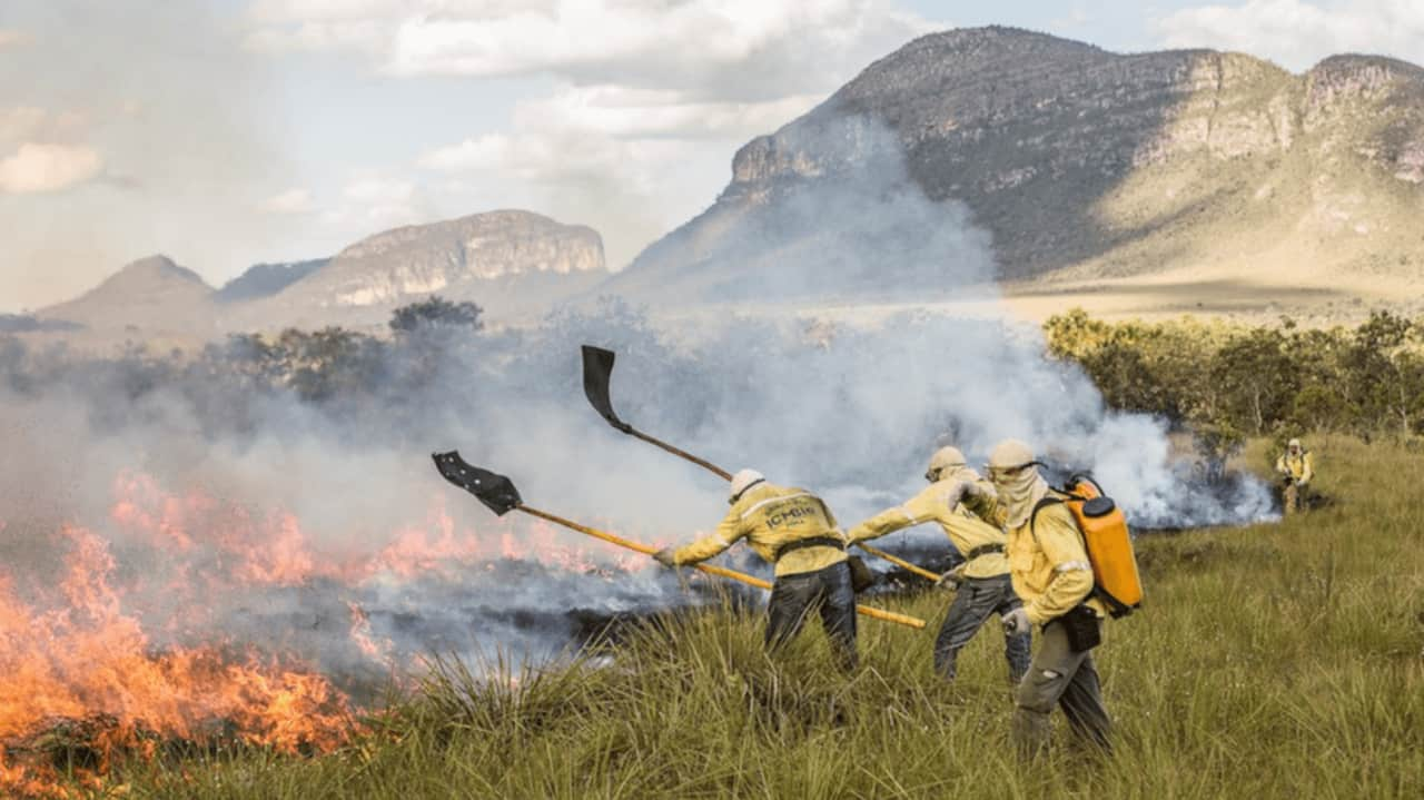 Uso de fogo em vegetação deve ser autorizado pela Semad Goiás.