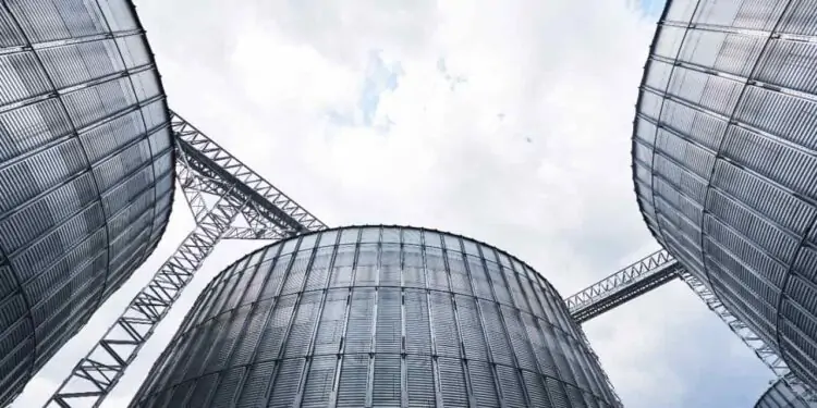 Cotações de mercado: veja as perspectivas para soja, milho, ovos e mandioca 1 cotações de mercado