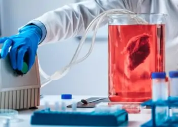 fábrica de carne de laboratório
