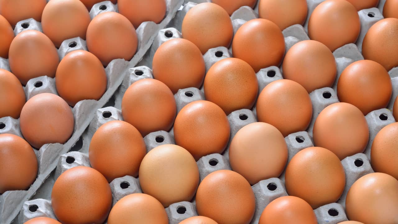 Exportações brasileiras de ovos