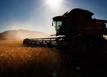 produção agrícola