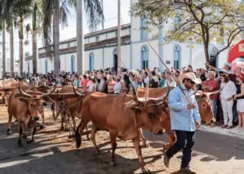 Romaria de Trindade começou do trabalho no campo.