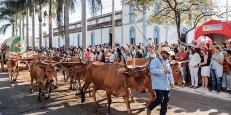Romaria de Trindade começou do trabalho no campo.