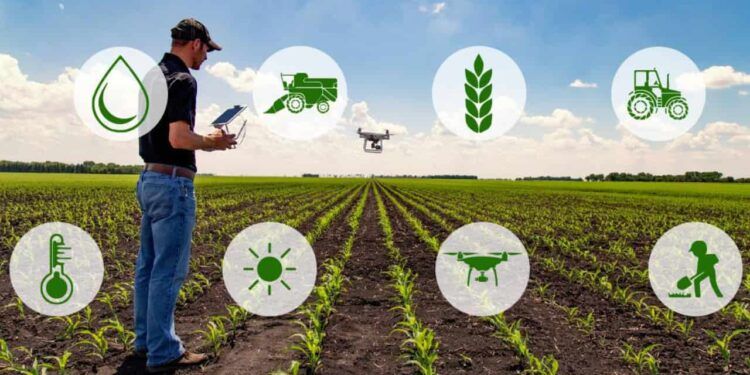 Agricultura de precisão usa a tecnologia para facilitar a tomada de decisão dos produtores.