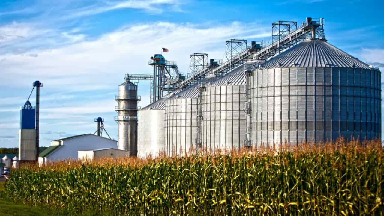 Baixa nos prêmios de exportação motivam agricultor a manter grãos no estoque. 